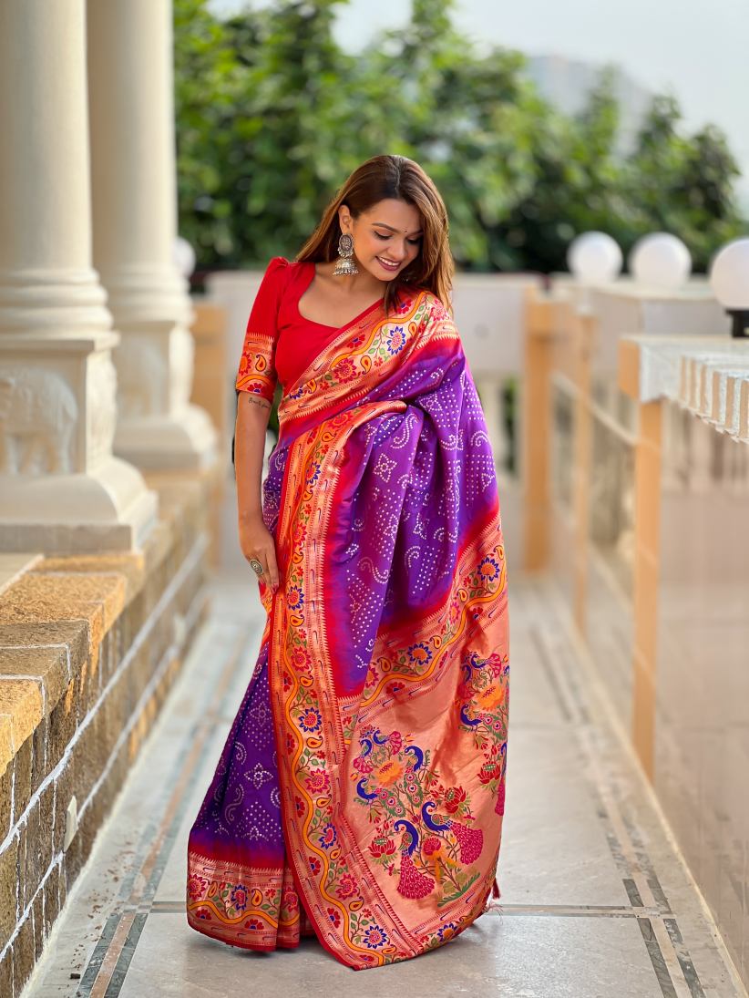 Catalog Designer Saree