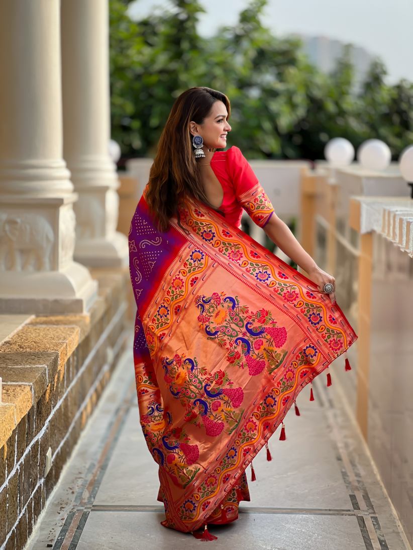 Catalog Designer Saree
