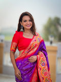 Catalog Designer Saree