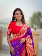 Catalog Designer Saree
