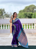 Catalog Designer Saree