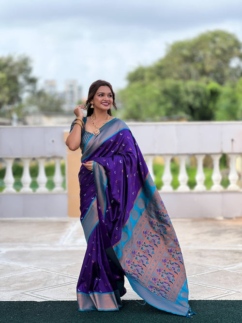 Catalog Designer Saree