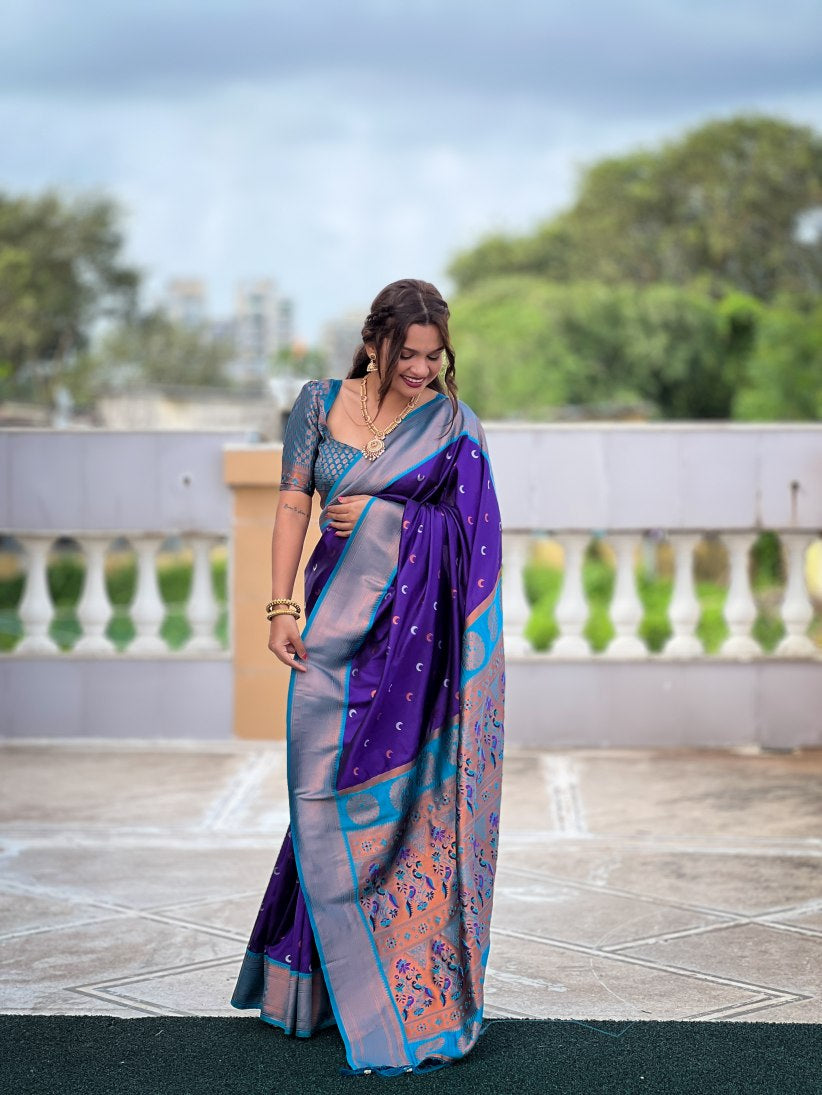 Catalog Designer Saree