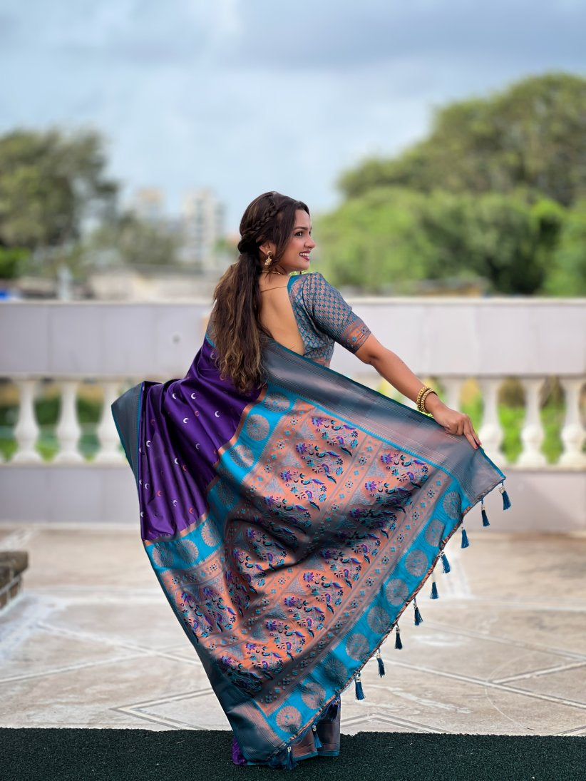 Catalog Designer Saree