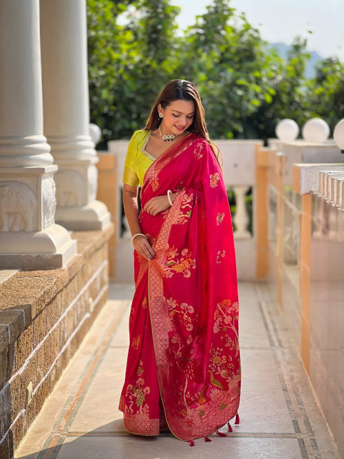 Catalog Designer Saree