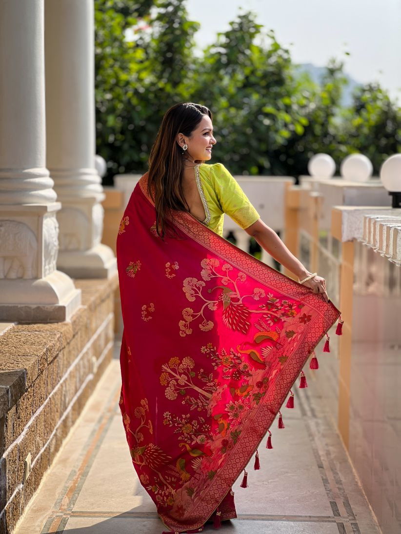 Catalog Designer Saree