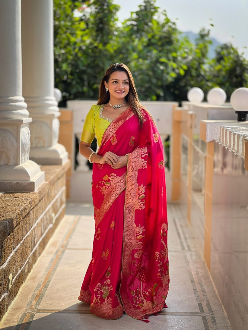 Catalog Designer Saree