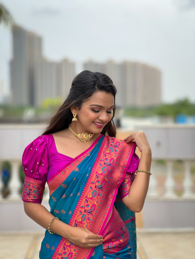 Catalog Designer Saree