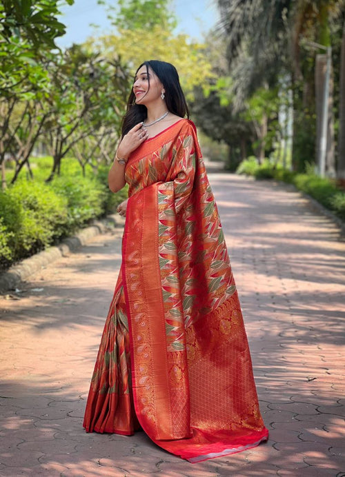 Catalog Designer Saree