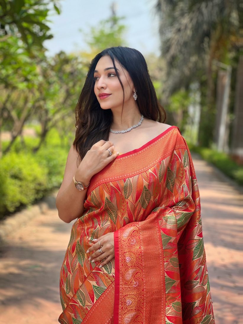 Catalog Designer Saree