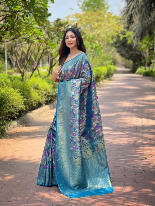 Catalog Designer Saree