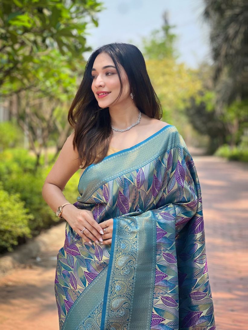 Catalog Designer Saree