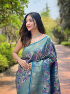 Catalog Designer Saree