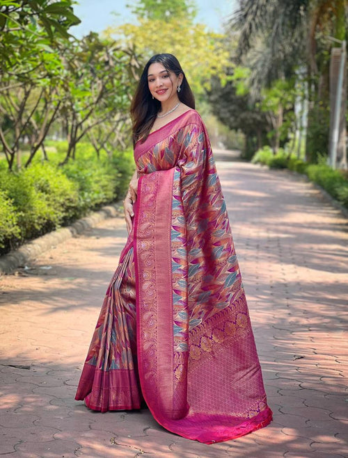 Catalog Designer Saree
