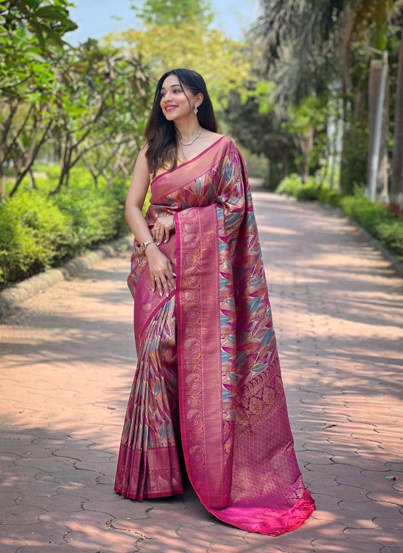 Catalog Designer Saree
