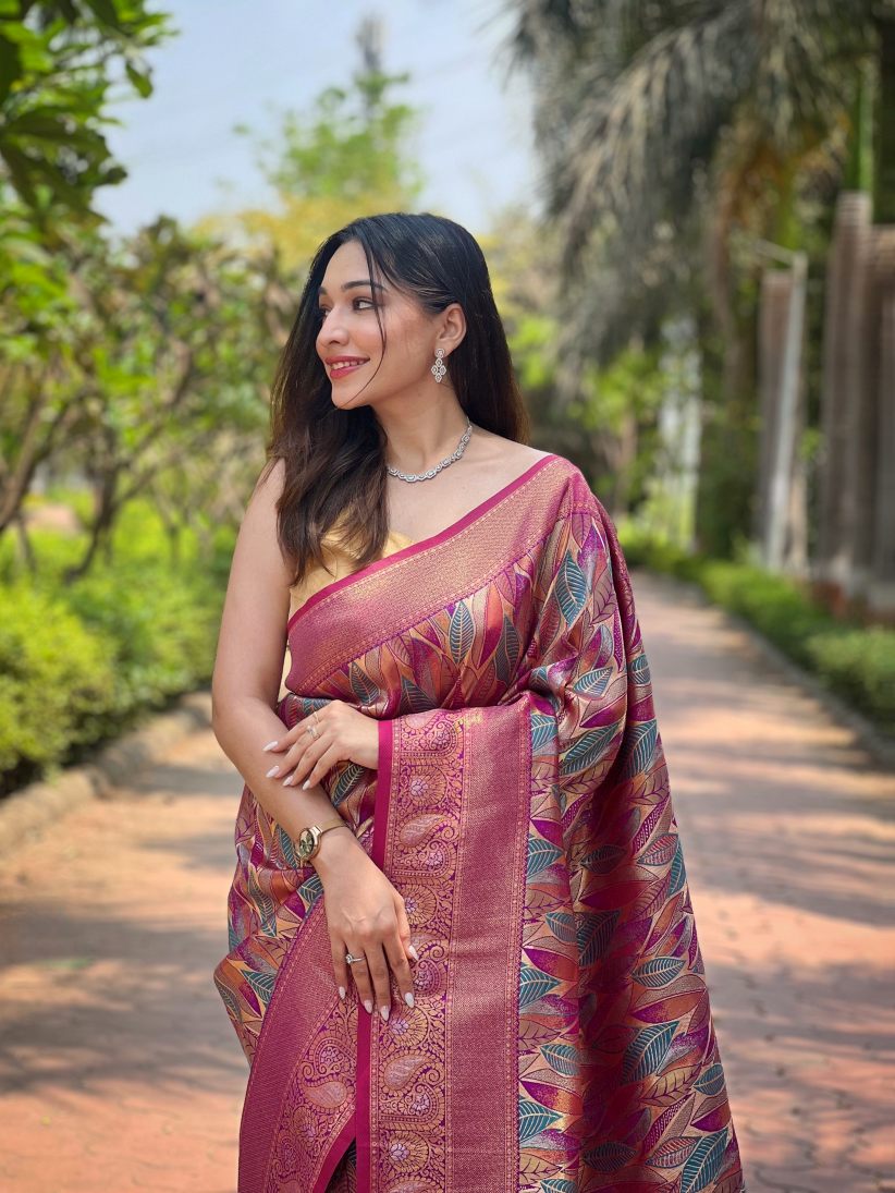Catalog Designer Saree