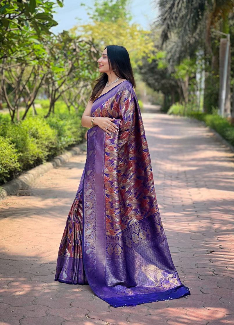 Catalog Designer Saree