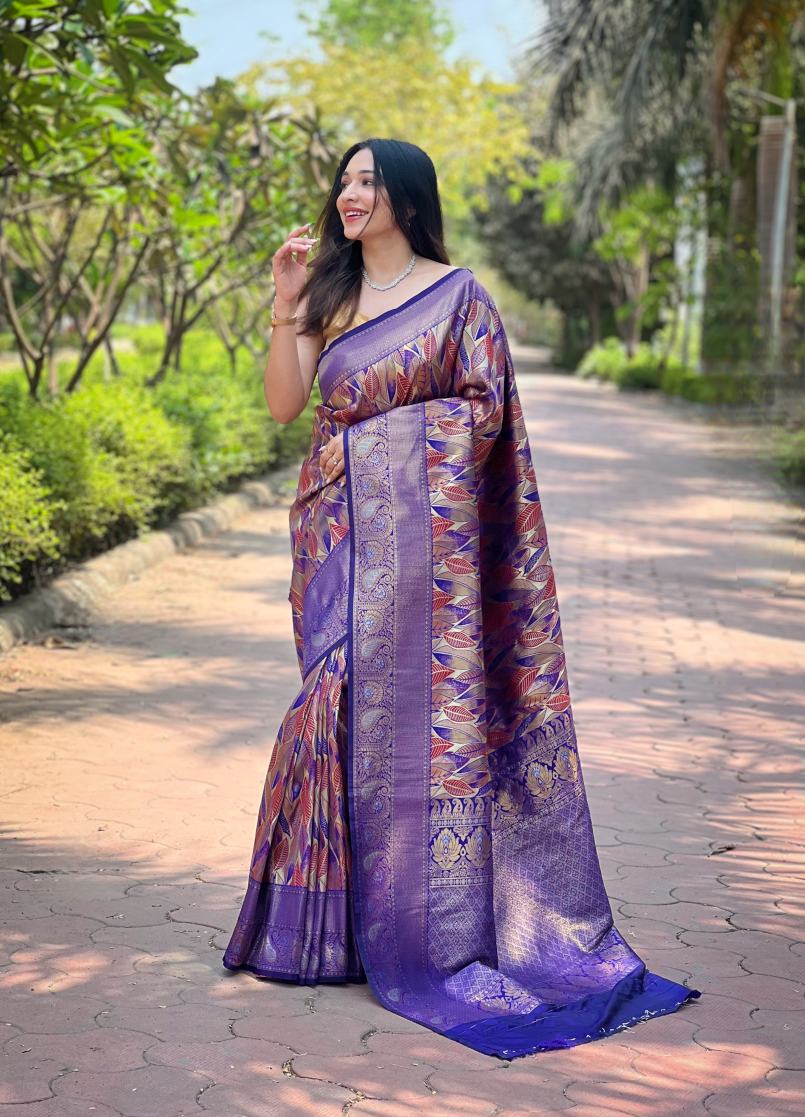 Catalog Designer Saree