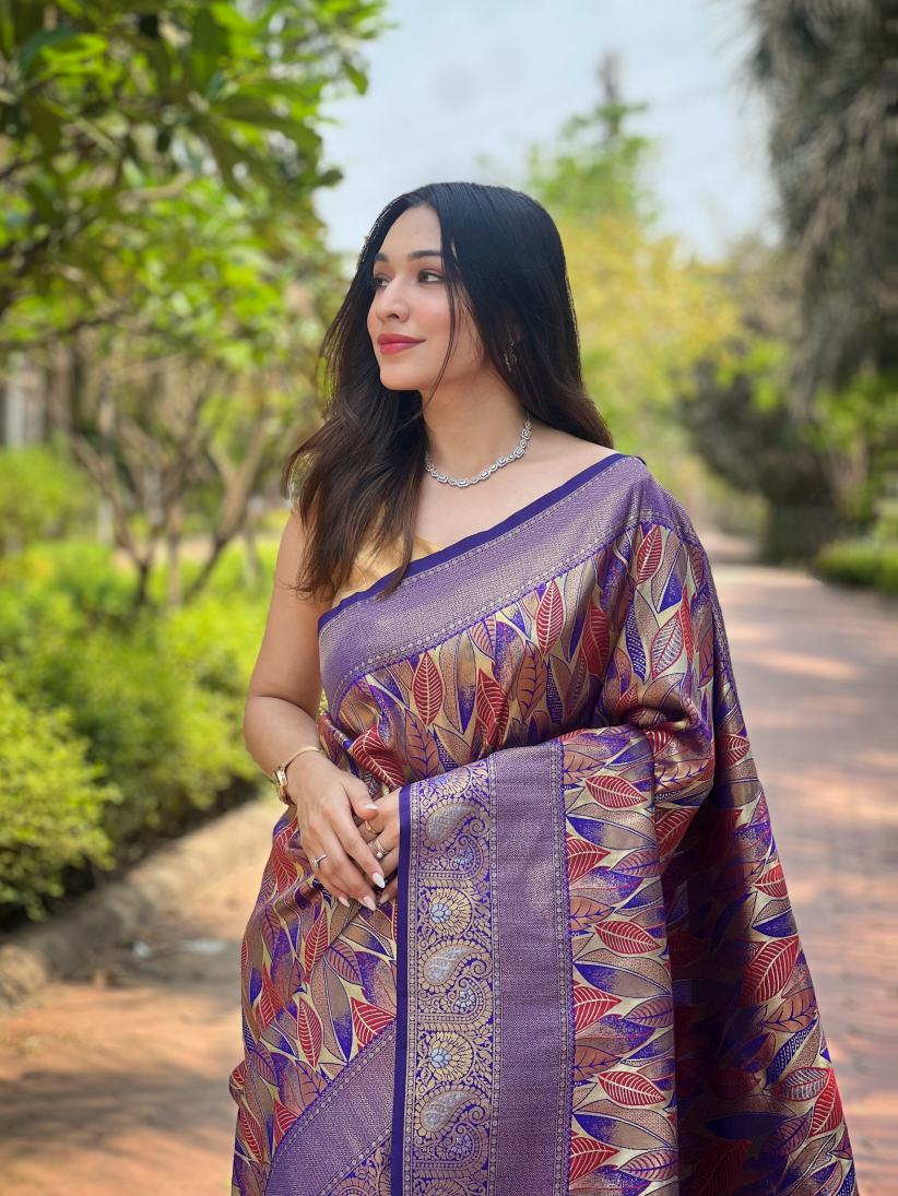 Catalog Designer Saree
