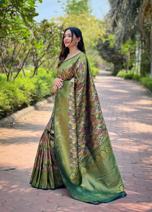 Catalog Designer Saree