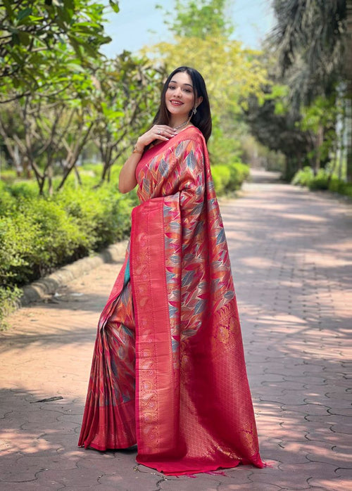 Catalog Designer Saree