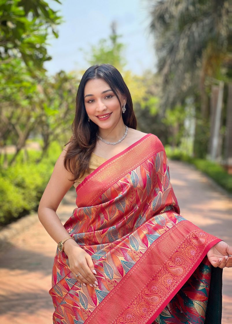 Catalog Designer Saree