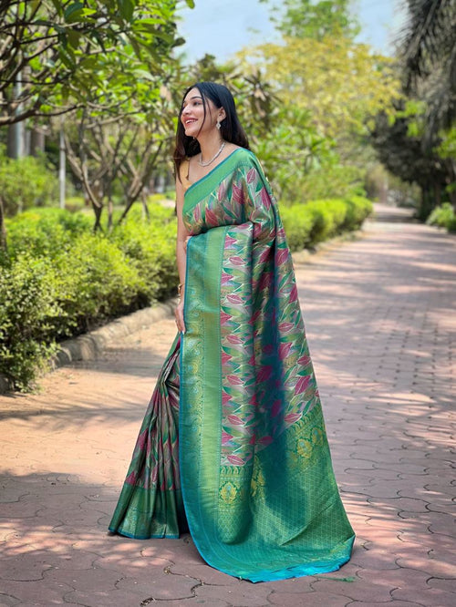 Catalog Designer Saree