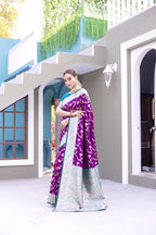 Catalog Designer Saree