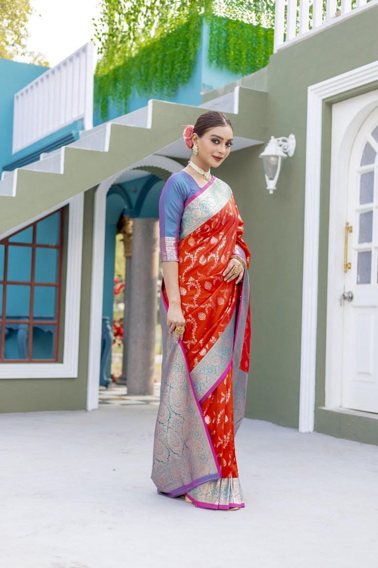 Catalog Designer Saree