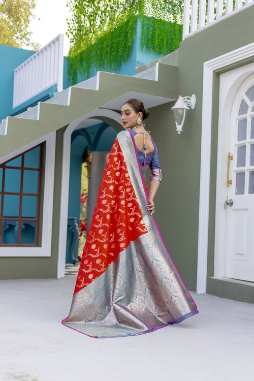Catalog Designer Saree