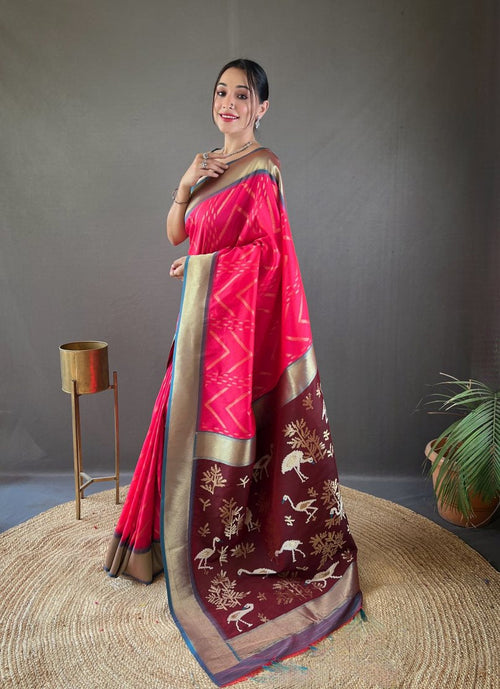 Catalog Designer Saree