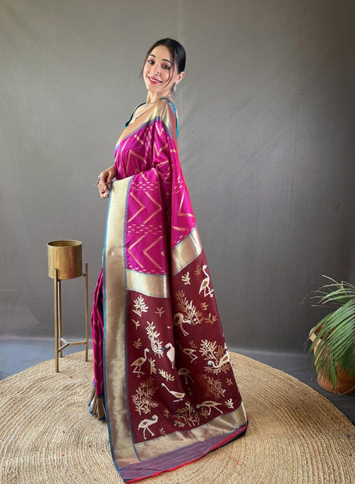 Catalog Designer Saree