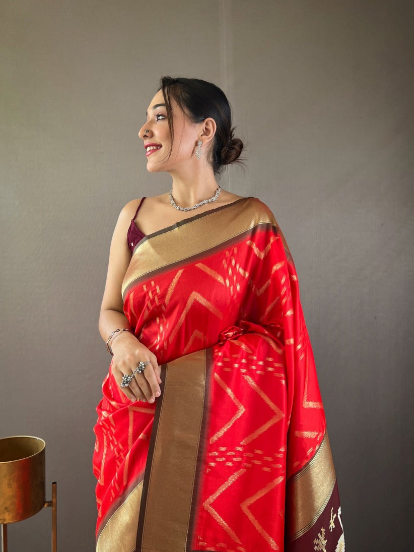 Catalog Designer Saree