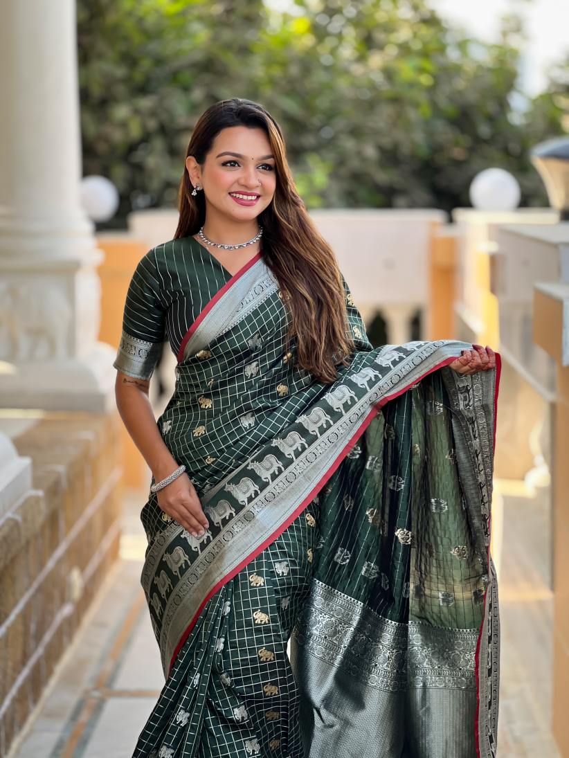 Catalog Designer Saree.