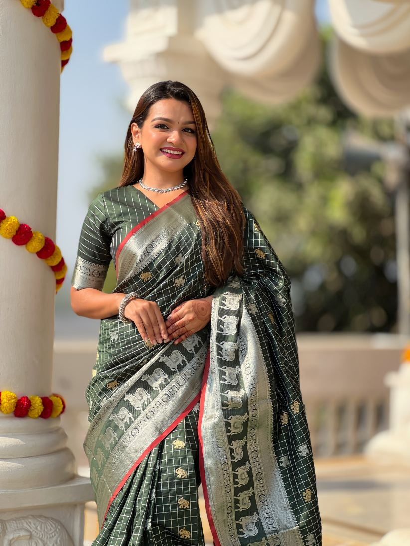 Catalog Designer Saree.