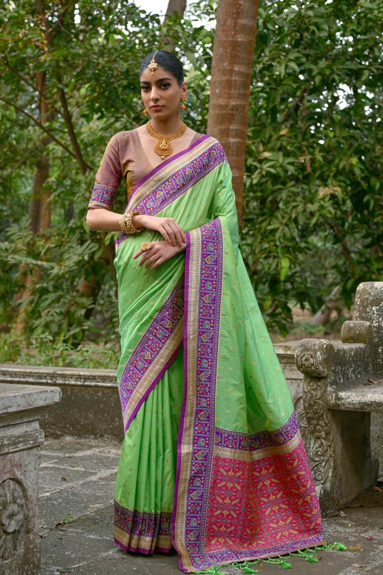 Catalog Designer Saree