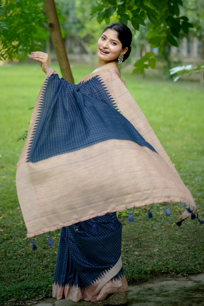 Catalog Designer Saree