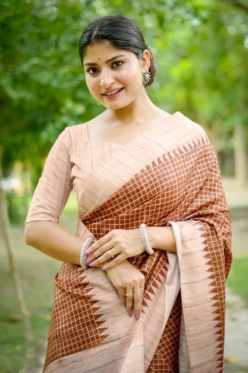 Catalog Designer Saree