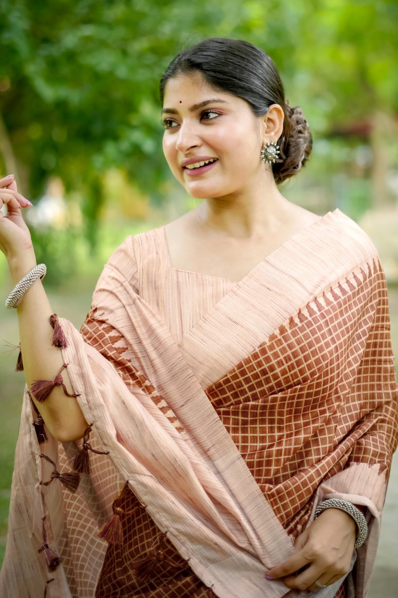 Catalog Designer Saree