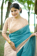 Catalog Designer Saree