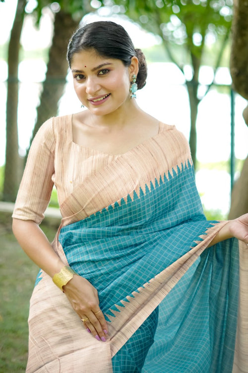 Catalog Designer Saree