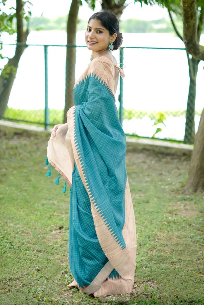 Catalog Designer Saree