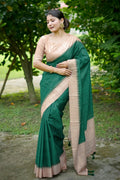 Catalog Designer Saree