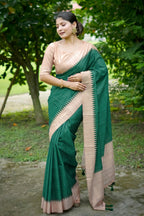 Catalog Designer Saree