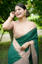 Catalog Designer Saree