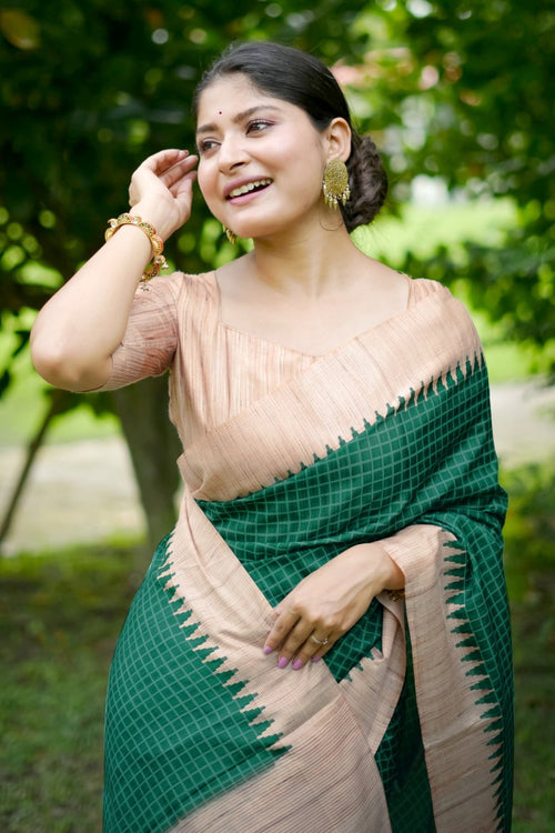 Catalog Designer Saree