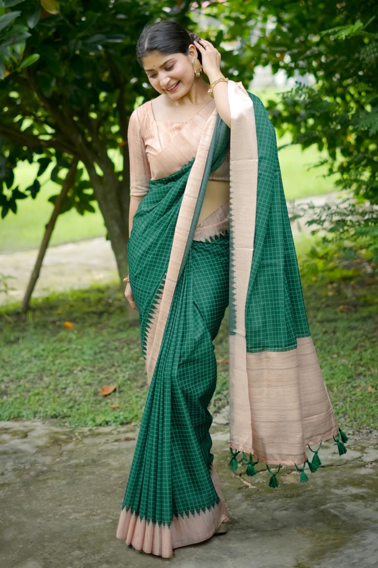 Catalog Designer Saree