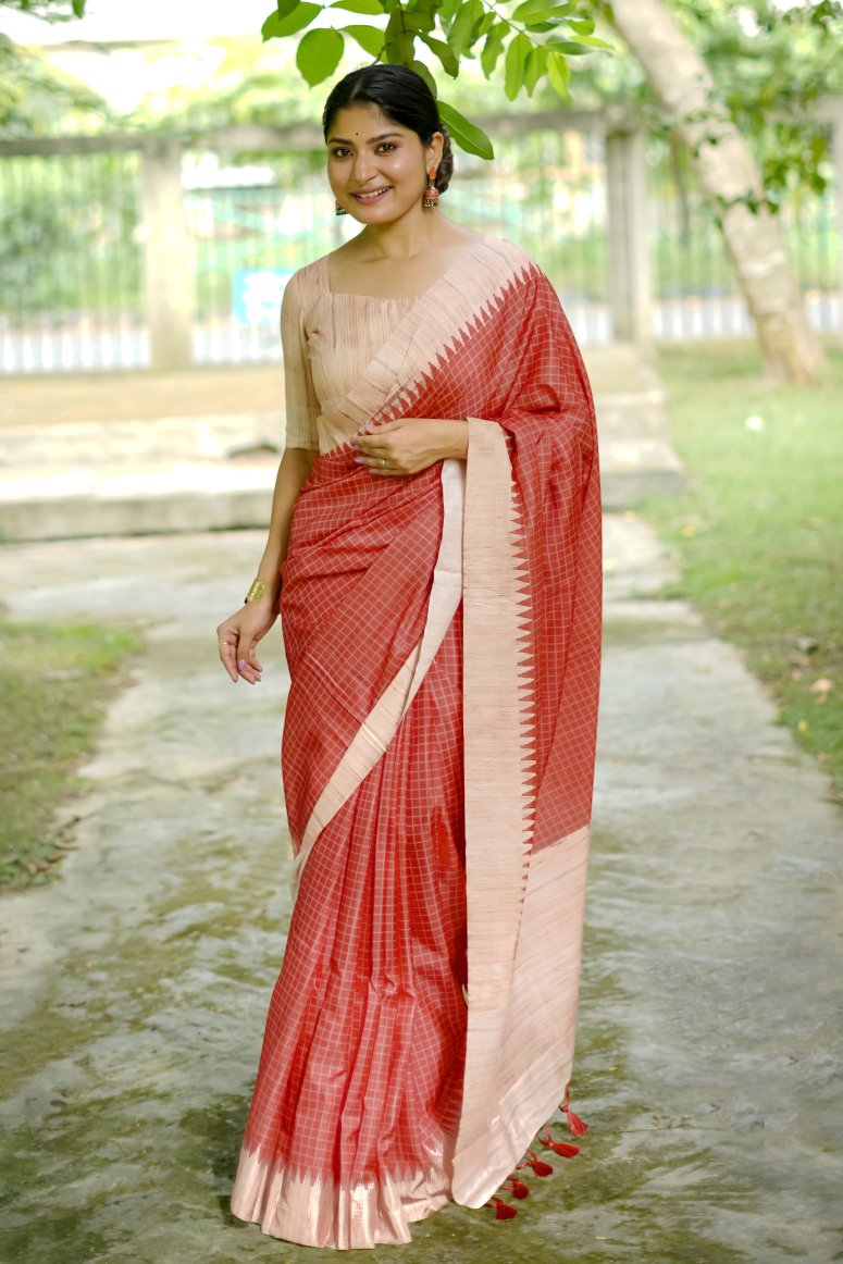 Catalog Designer Saree