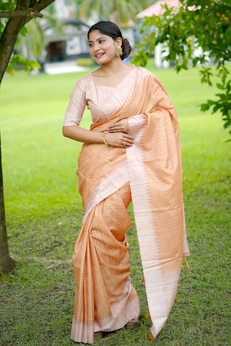 Catalog Designer Saree