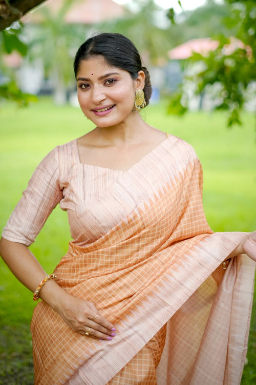 Catalog Designer Saree